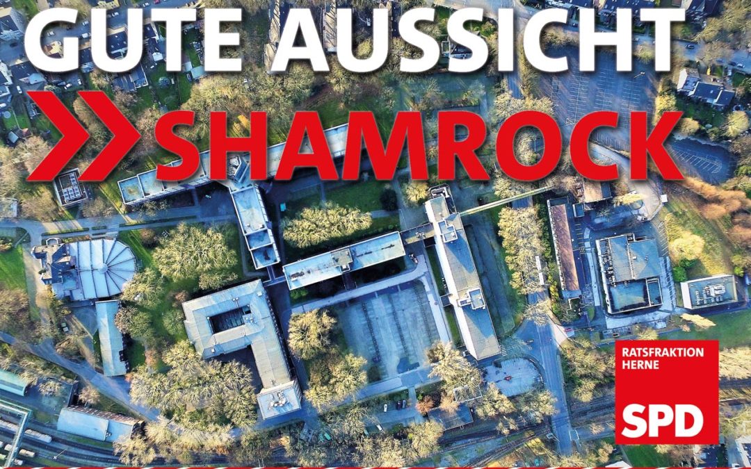Gute Aussicht Shamrock – SPD-Fraktion vor Ort